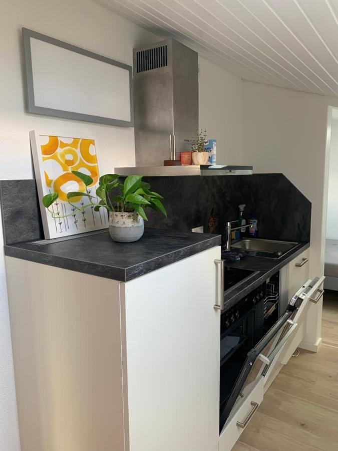 Schoene, Grosse Ferienwohnung Direkt Am Donauradweg & Keltenstadt Heuneburg Herbertingen Eksteriør bilde