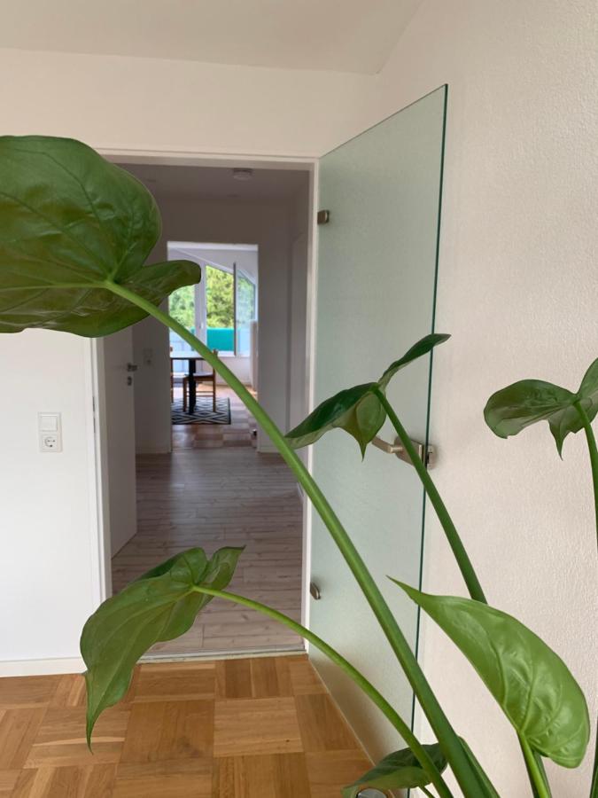 Schoene, Grosse Ferienwohnung Direkt Am Donauradweg & Keltenstadt Heuneburg Herbertingen Eksteriør bilde